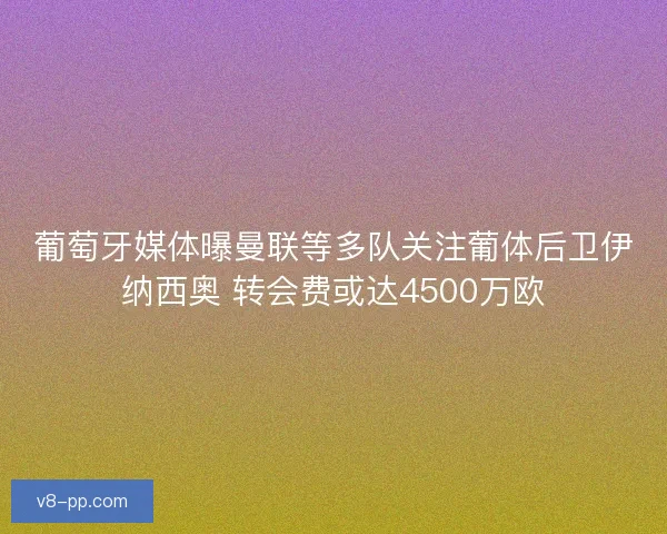 葡萄牙媒体曝曼联等多队关注葡体后卫伊纳西奥 转会费或达4500万欧